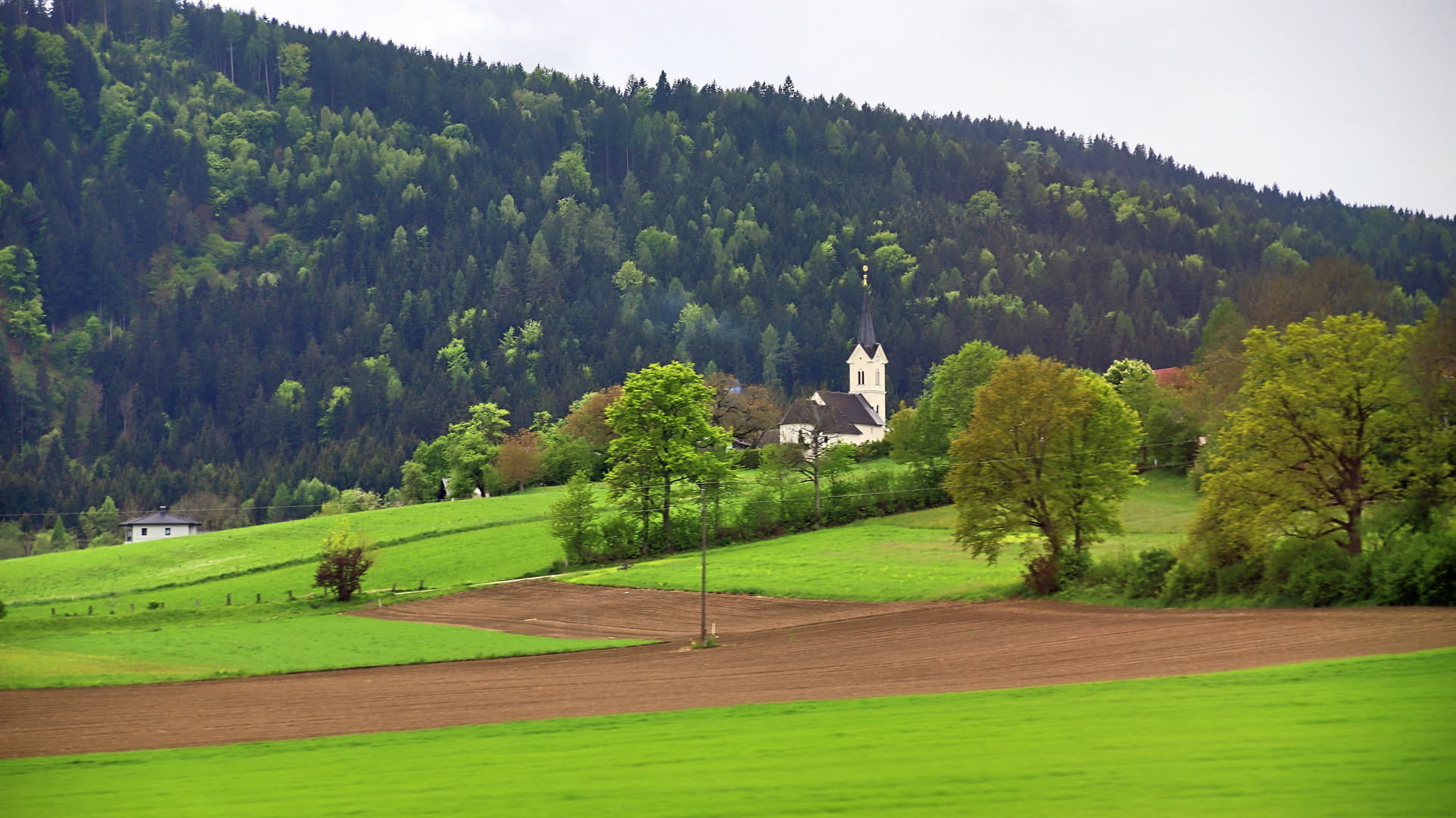 Die Pfarrkirche St.Veit in Michelsdorf