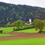 Die Pfarrkirche St.Veit in Michelsdorf