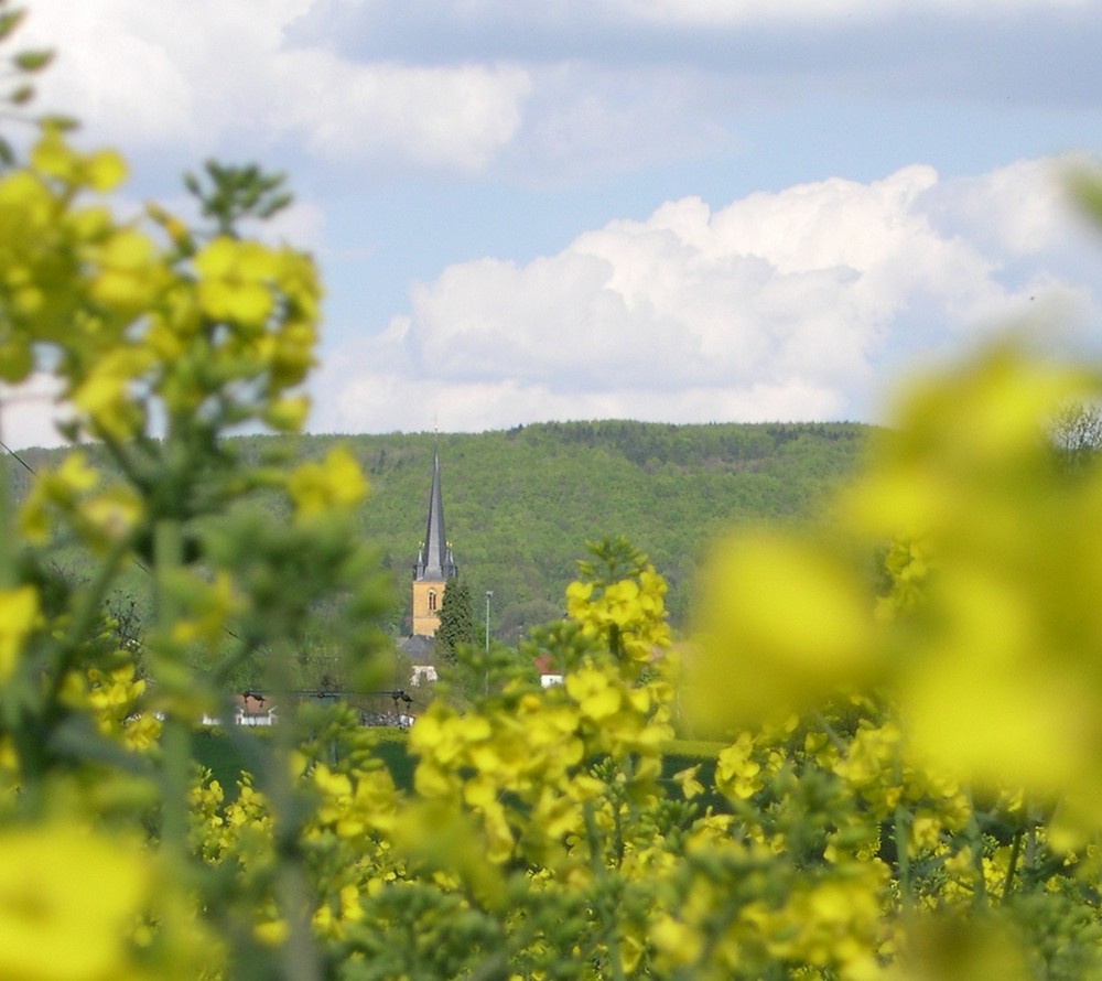 Die Pfarrkirche von Mistendorf aus Sicht einer Biene