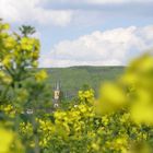 Die Pfarrkirche von Mistendorf aus Sicht einer Biene