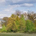 Die Pfaueninsel im Wannsee......