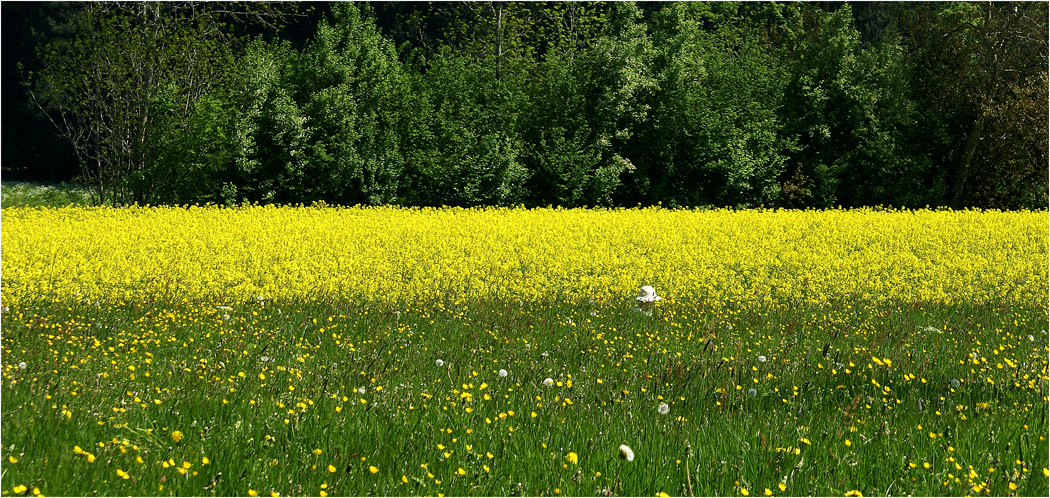 Die Pfingstwanderung