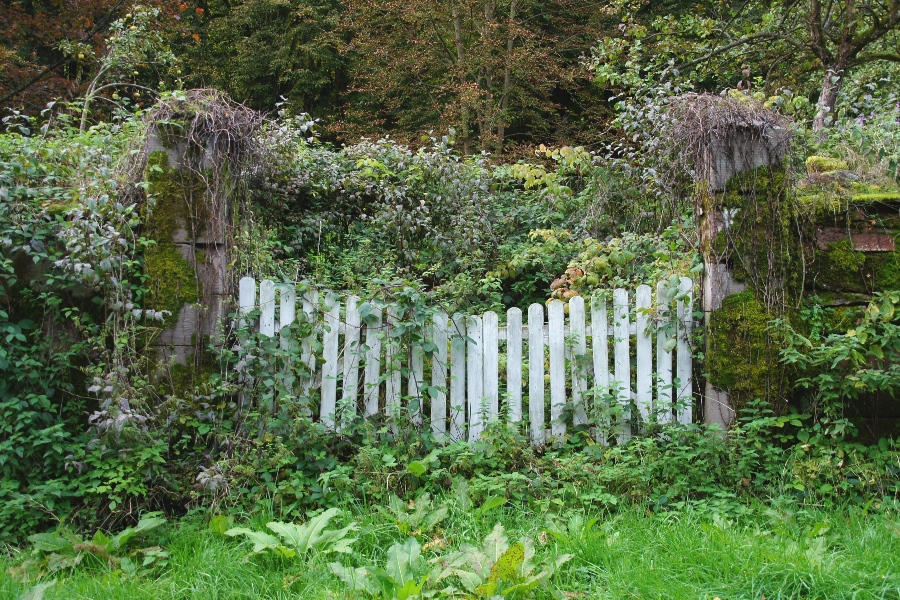 Die Pforte im "Naturschutz"