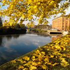 Die Pfortmühle Hameln im Herbst