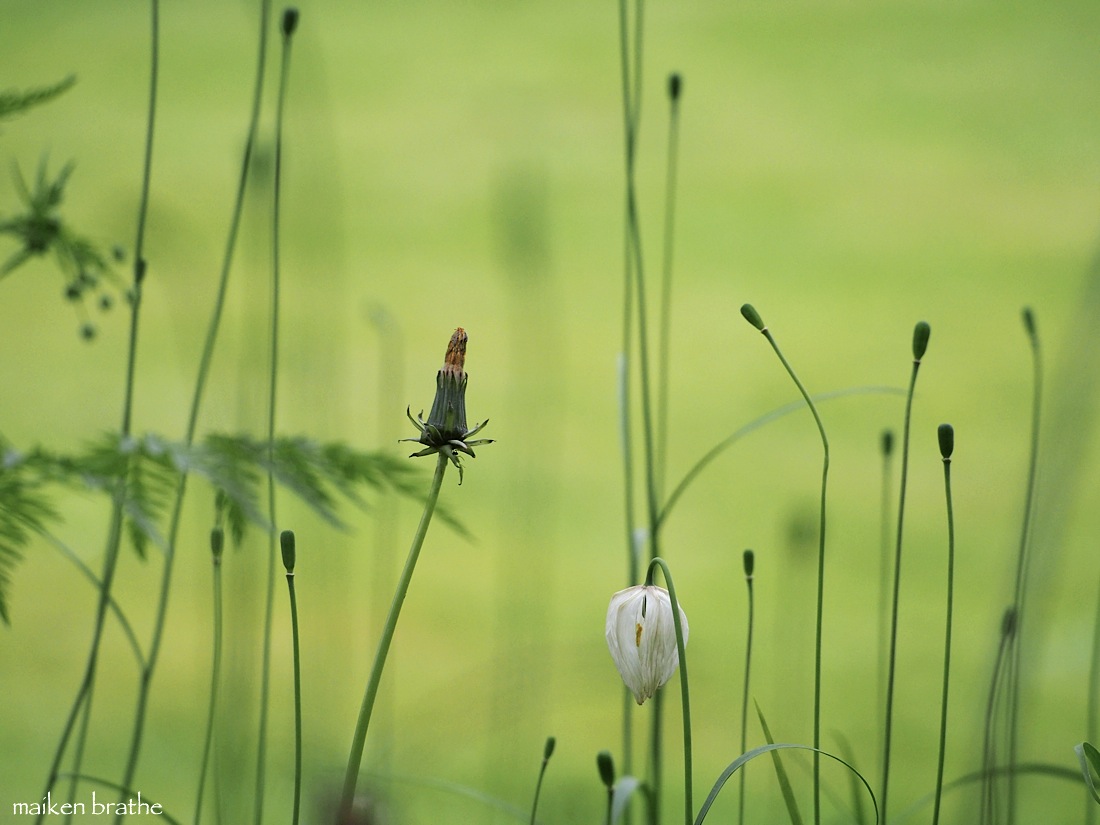 Die Phase vor dem Abflug.... :-)