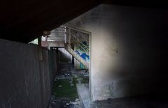 Die Phasenüberschläge in der Entwicklung der Troglodyten