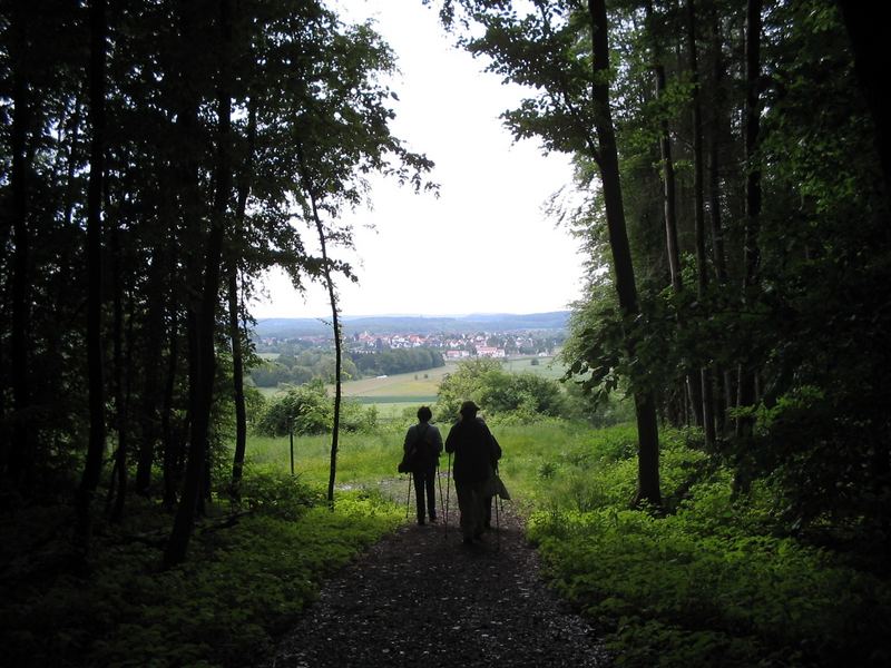 "Die Pilgerinnen"