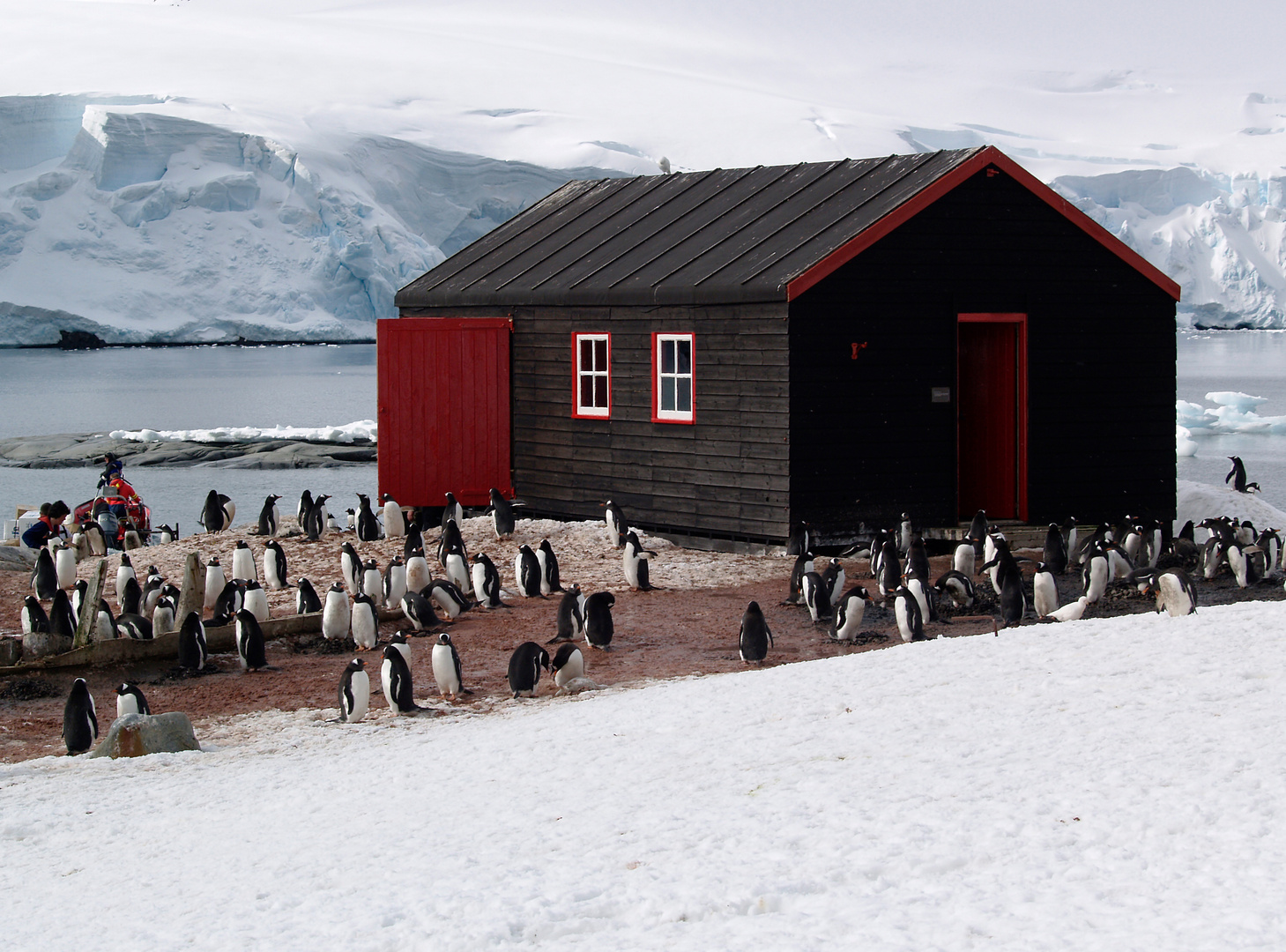 die Pinguin bewachen ihr Postamt...