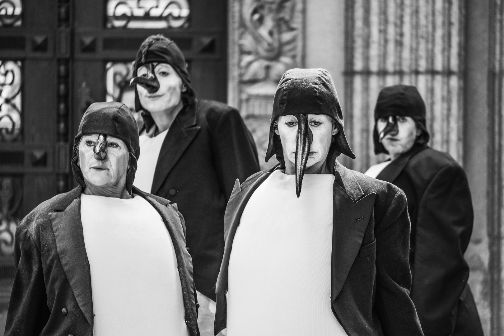 Die Pinguine