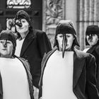 Die Pinguine