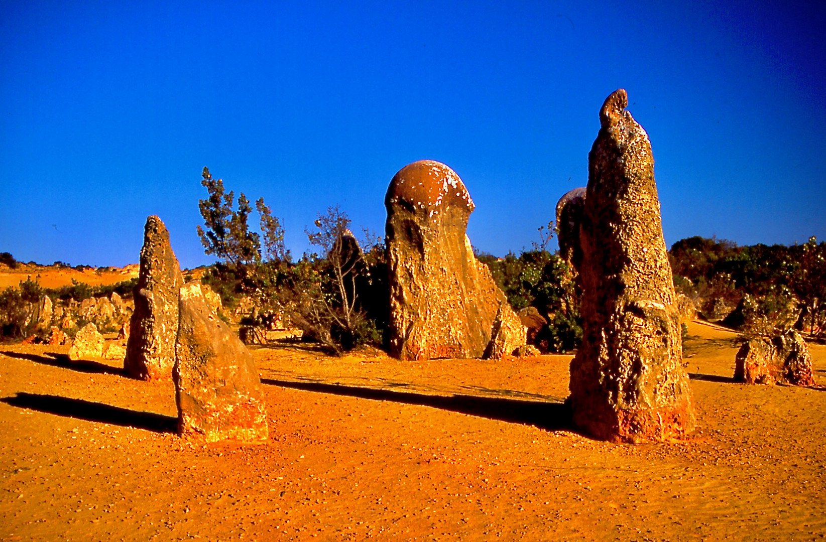 Die Pinnacles, Nambung Nationalpark (Westaustralien).