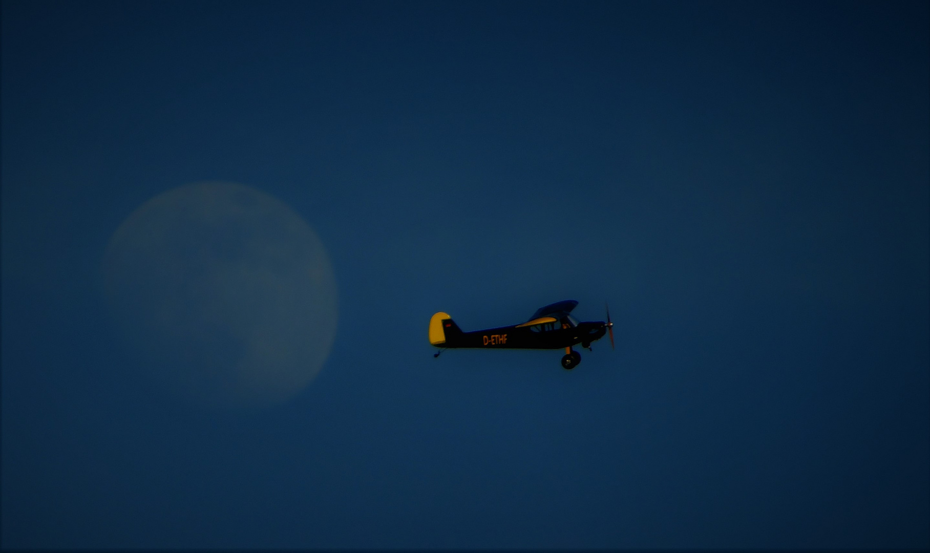 Die Piper Foto & Bild spezial, mond, blauer himmel Bilder auf