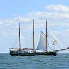 Die "Pippilotta" zur Hanse Sail 2019 vor Warnemünde