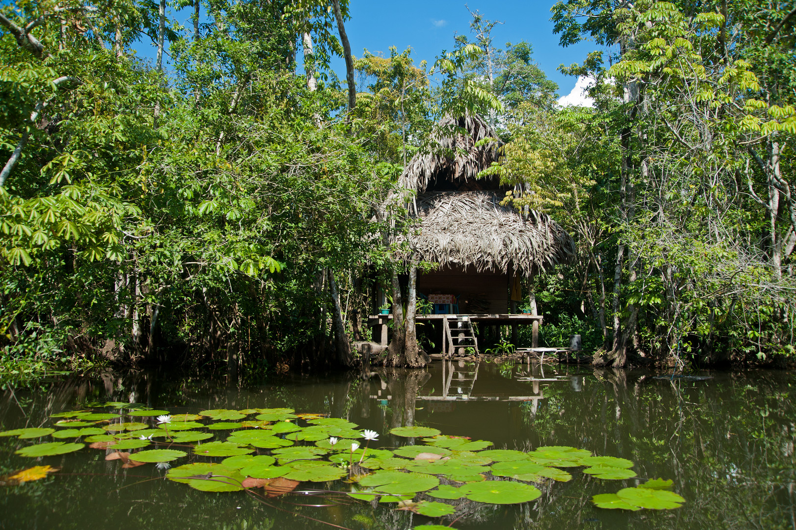 Die Piratenfestung am Rio Dulce