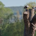 die Plätze in der Sonne waren heute Morgen begehrt