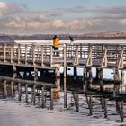 die Plattform im Federsee