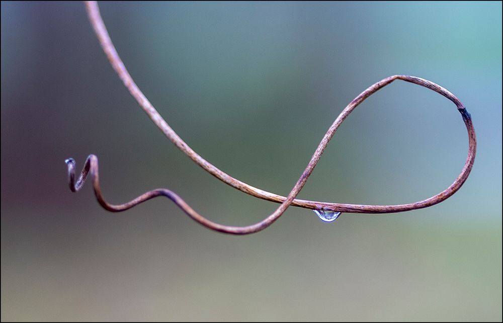 die Poesie der Natur