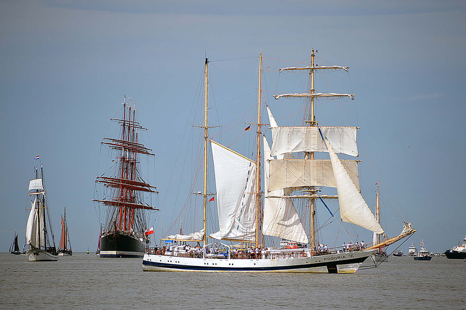 Die Pogoria bei der Sail 2015 in Bremerhaven