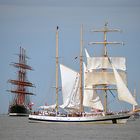 Die Pogoria bei der Sail 2015 in Bremerhaven