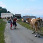 ...die Poludnig - Alm...