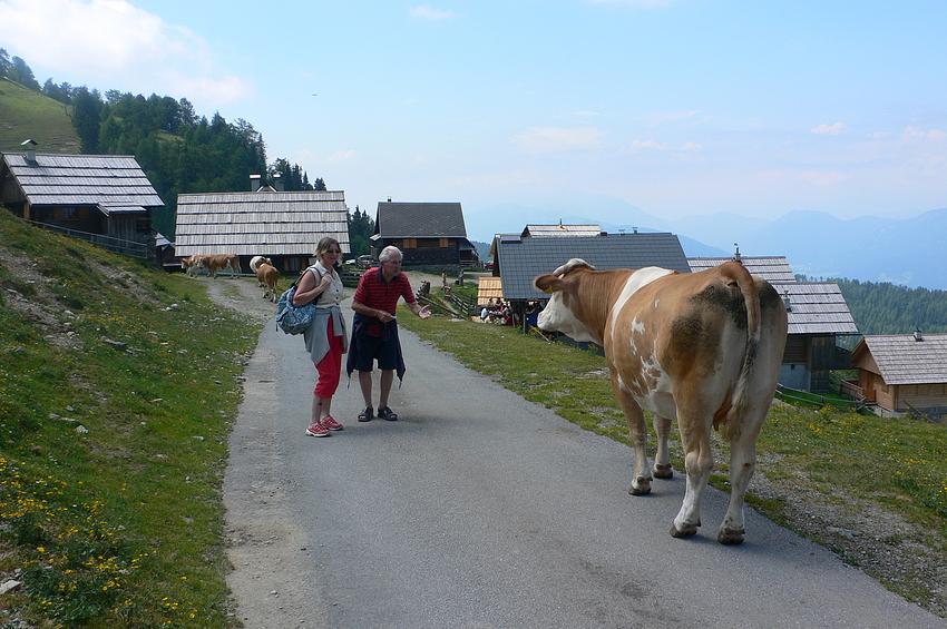 ...die Poludnig - Alm...