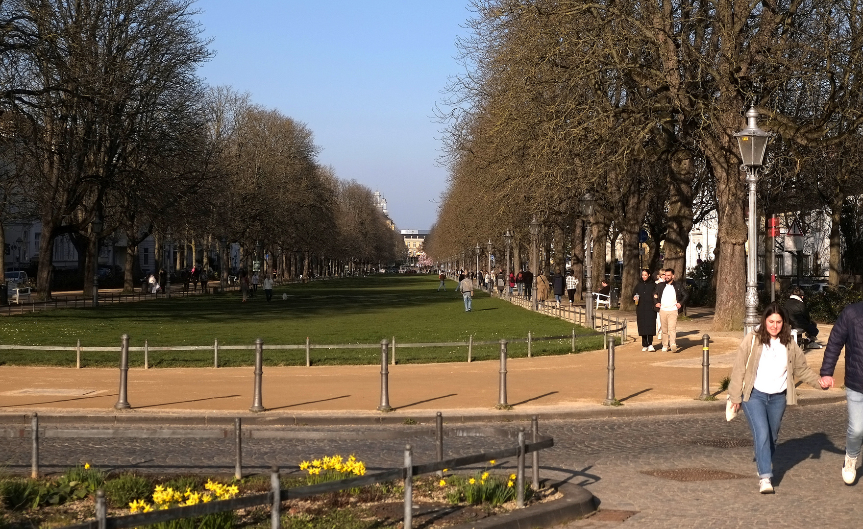 die Poppelsdorfer Allee