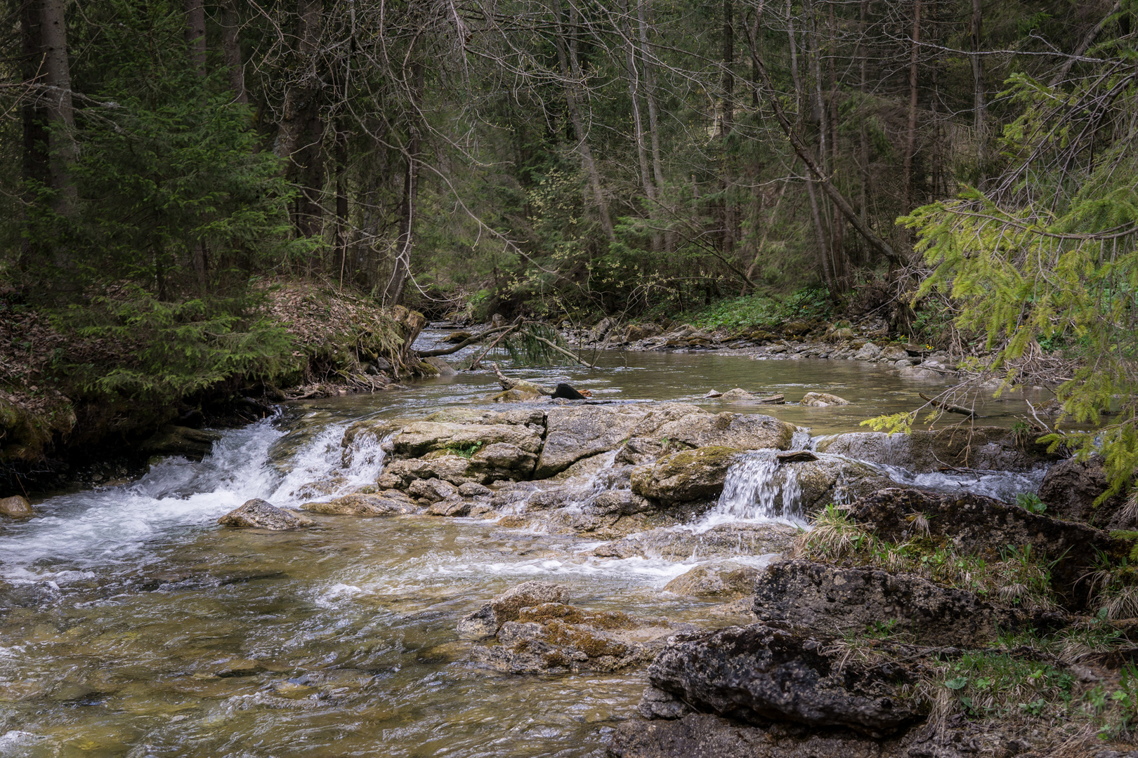 ...die Poprad in der Slowakai...