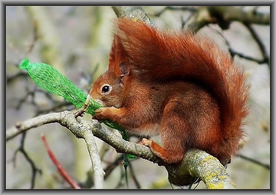 Die Portionen werden auch immer kleiner!
