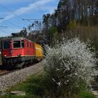 Die Post im Frühling