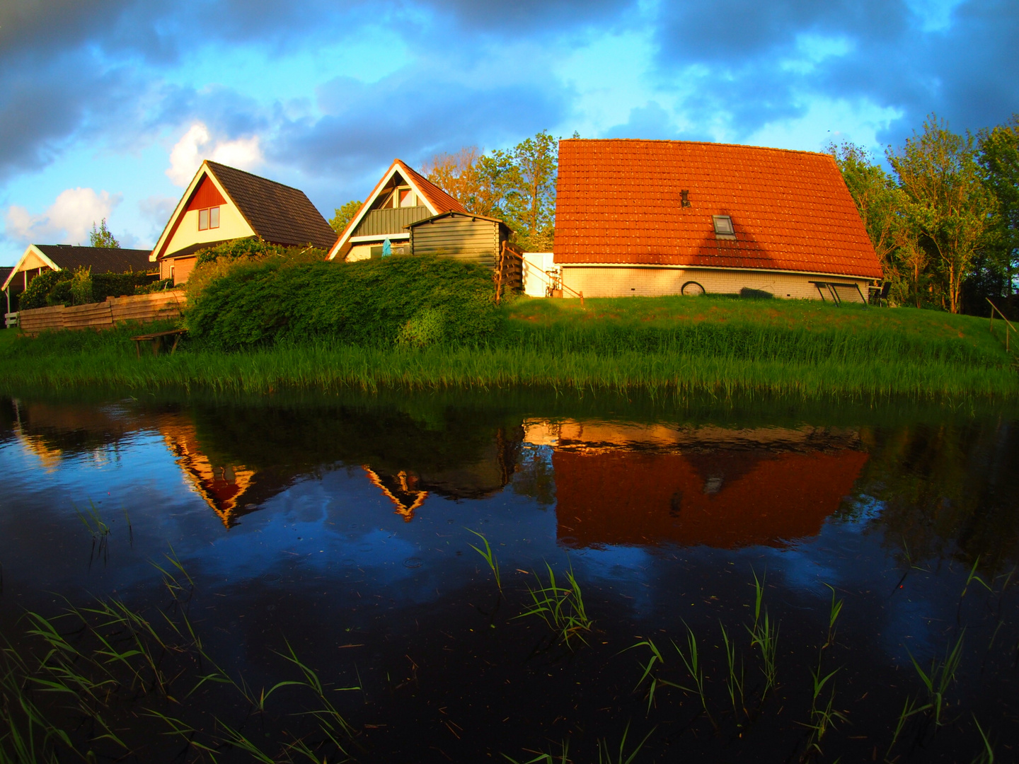 Die Postkarte aus Holland