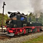 Die Preßnitztalbahn in Steinbach/Erzg.