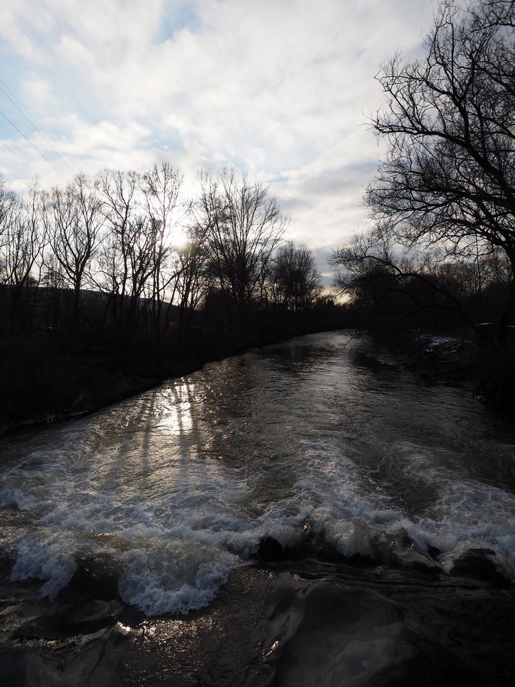 Die Prims,wieder mit Normalwasser