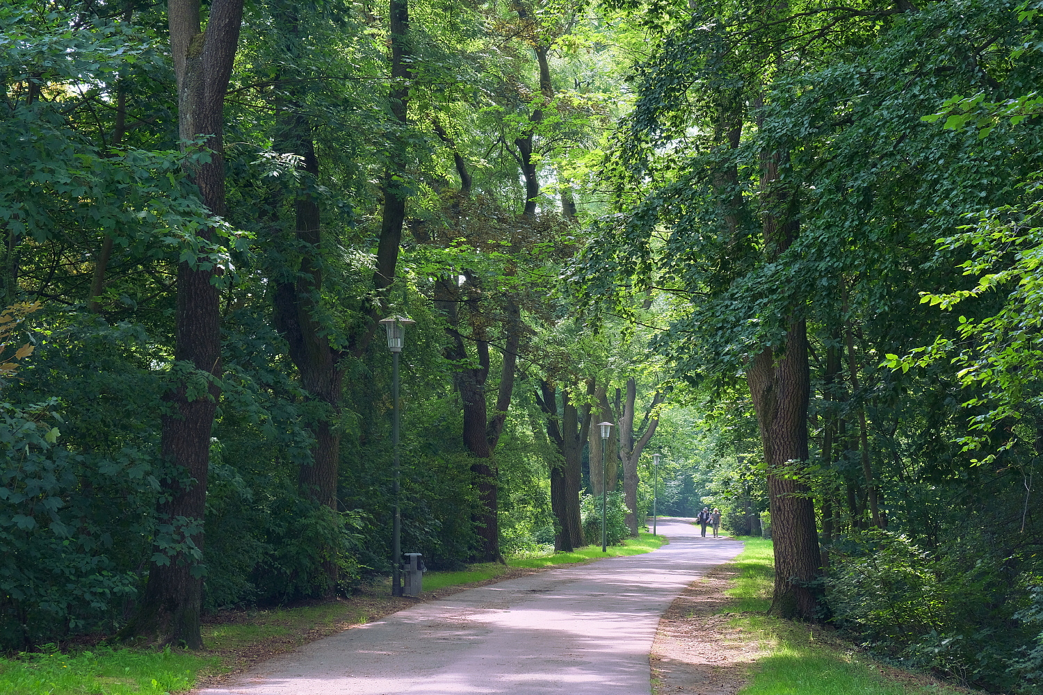 Die Promenade