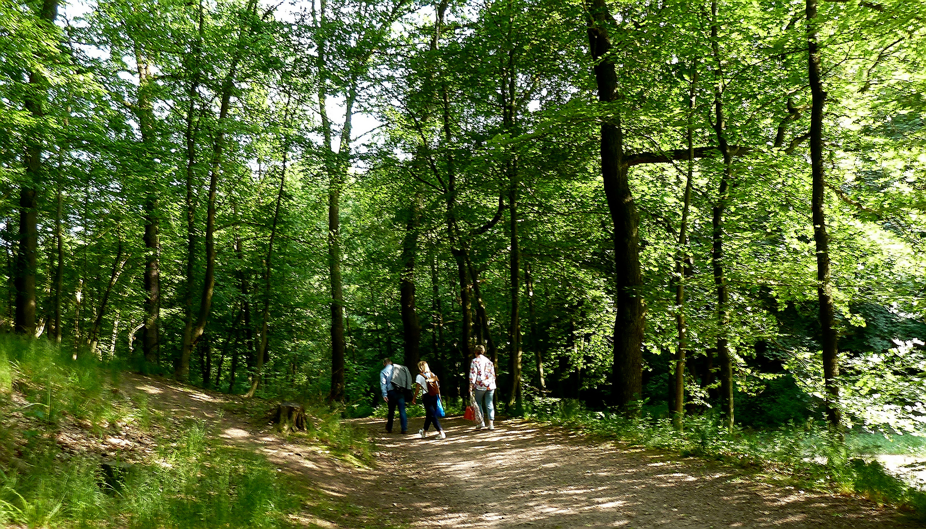 Die Promenade entlang Foto & Bild wald, natur, landschaft Bilder auf