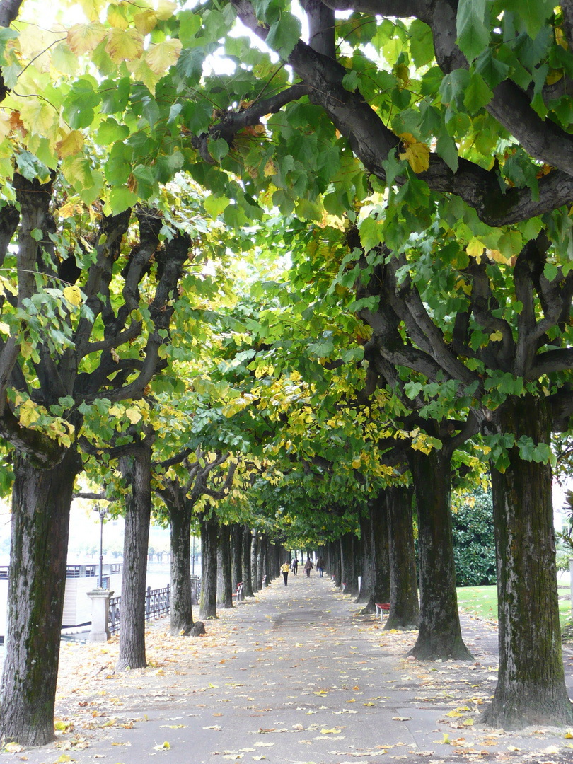 Die Promenade in Lugano - Sétány Luganoban