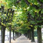 Die Promenade in Lugano - Sétány Luganoban