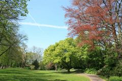 Die Promenade in Münster