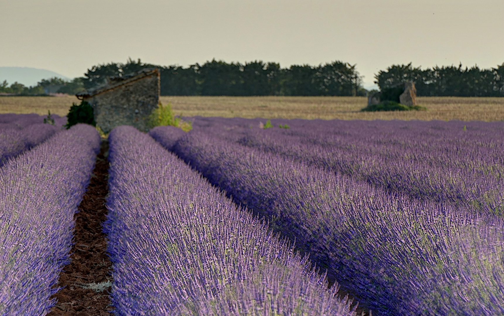 Die Provence