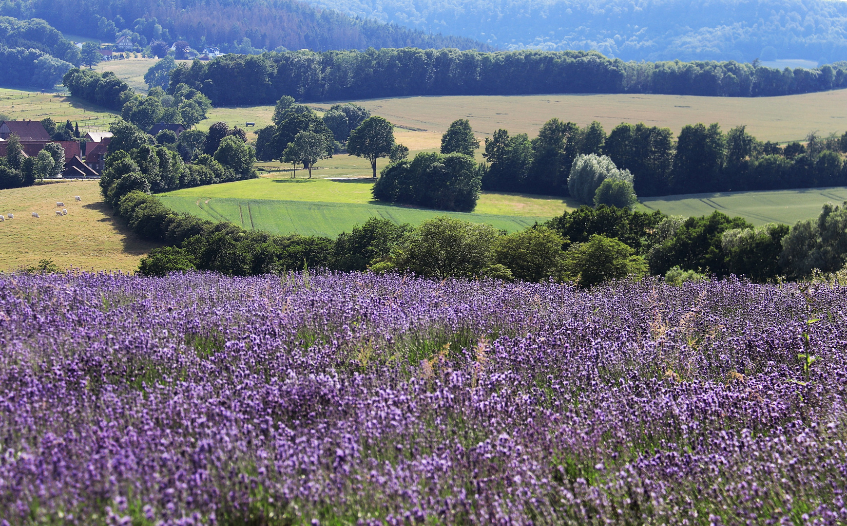 Die Provence in NRW