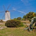 Die Punta des Moli gibt dir Einblick in längst vergangene Zeiten 