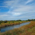 Die Puszta im Herbstkleid