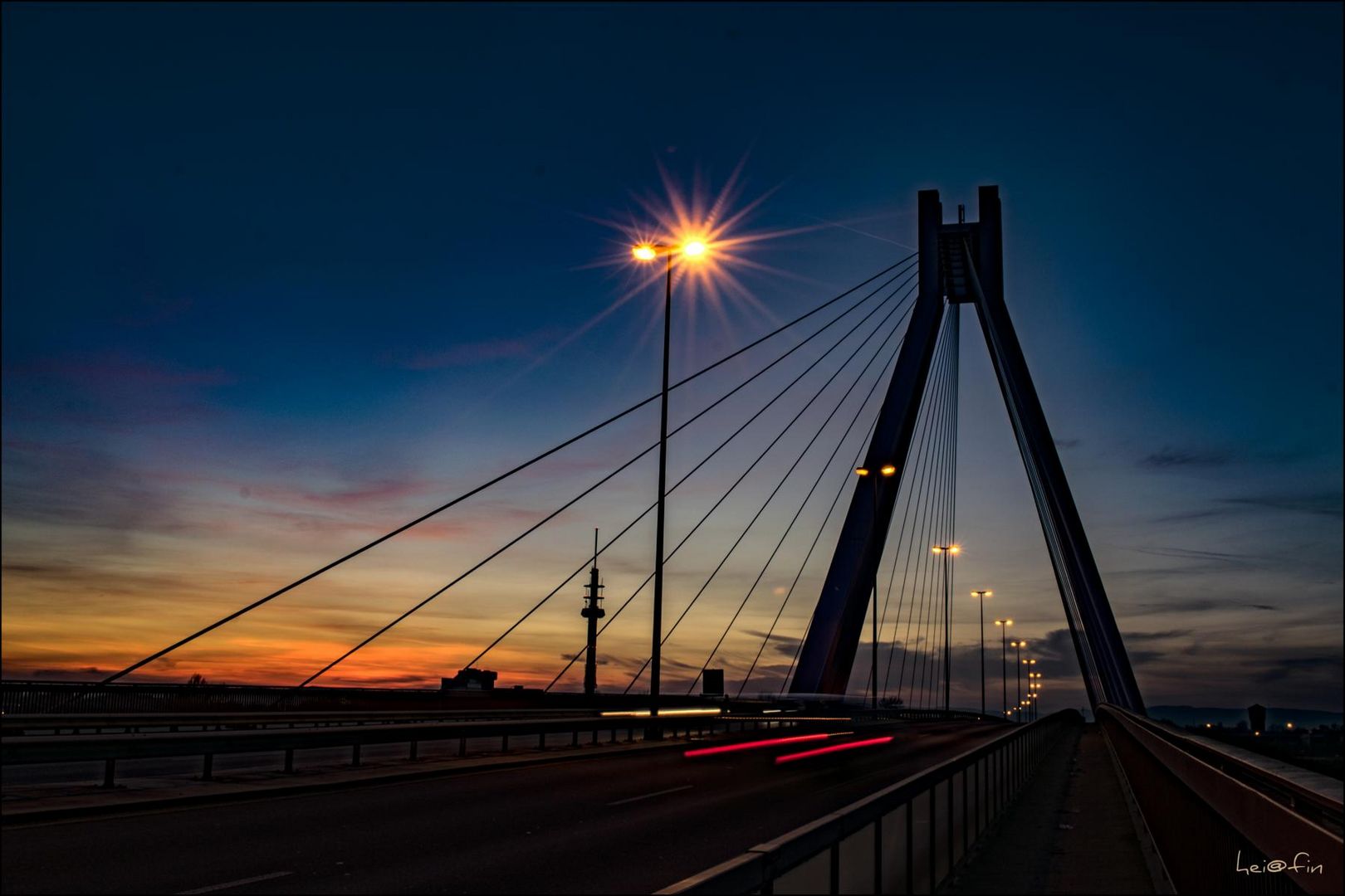 die Pylonbrücke Ludwigshafen