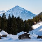 Die Pyramide des Niesen (2362 m.ü.M.)...