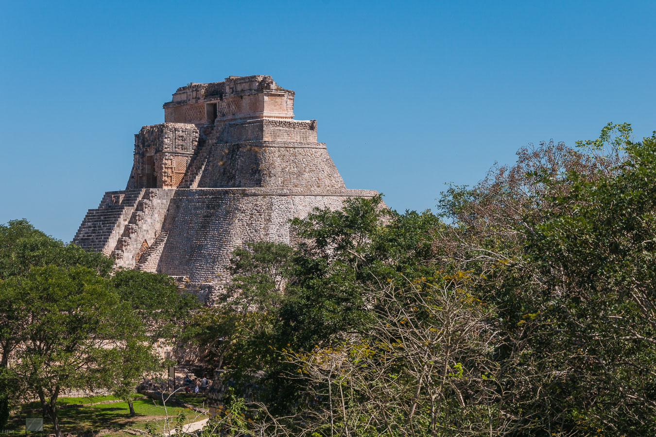 Die Pyramide überragt den Dschungel