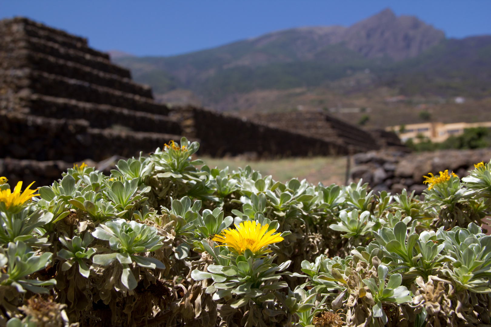 Die Pyramiden auf Teneriffa