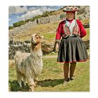 Die Quechua-Indianer-Frau mit Alpaca in Sacsayhuaman, Cusco