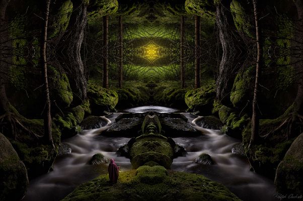 Die Quelle des Lebens - Spiegelwelten