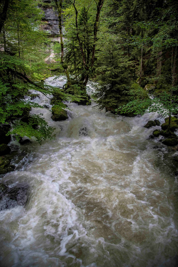 Die Quelle des Orbe bei Vallorbe