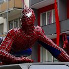 Die Raben tuscheln der Storch hat neue Spidermans gebracht