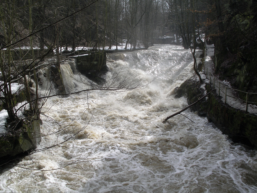 Die rabiate Wesenitz im Liebethaler Grund